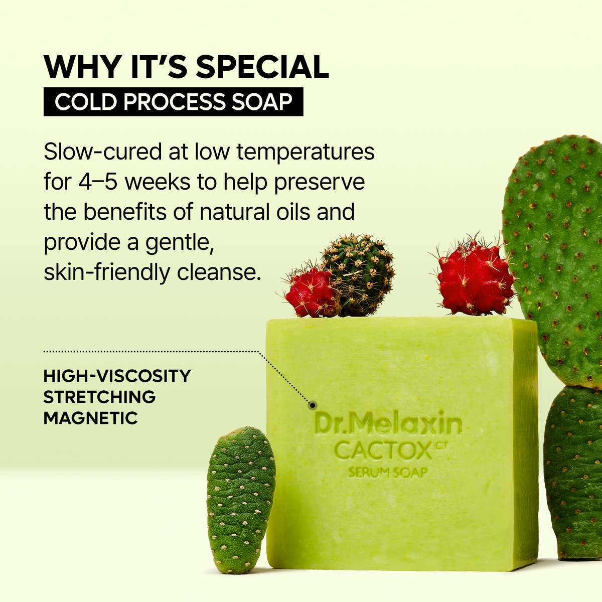 Cactox Pore Relief Serum Soap - Dr.Melaxin.us