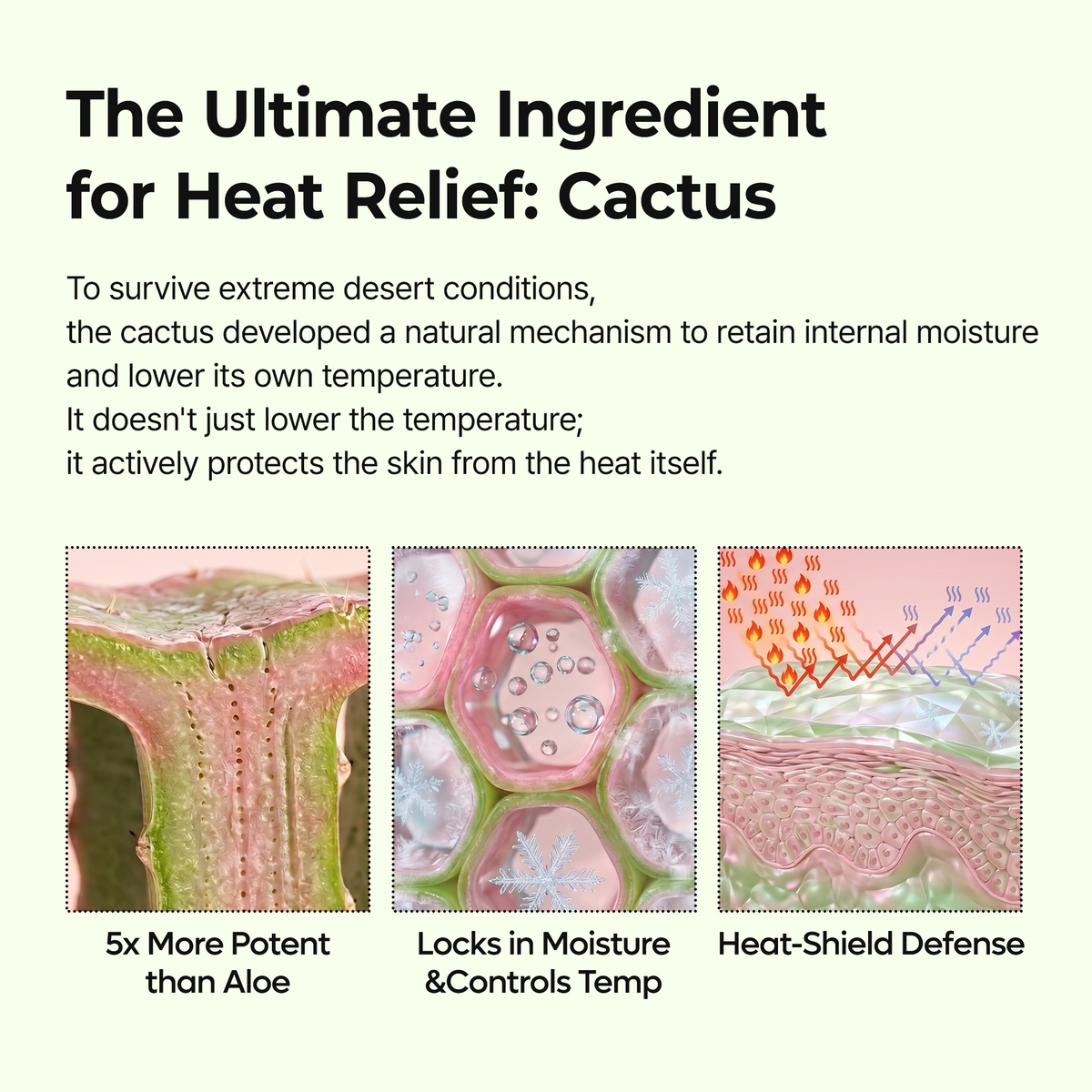 Cactox Pore Relief Multi Balm 6