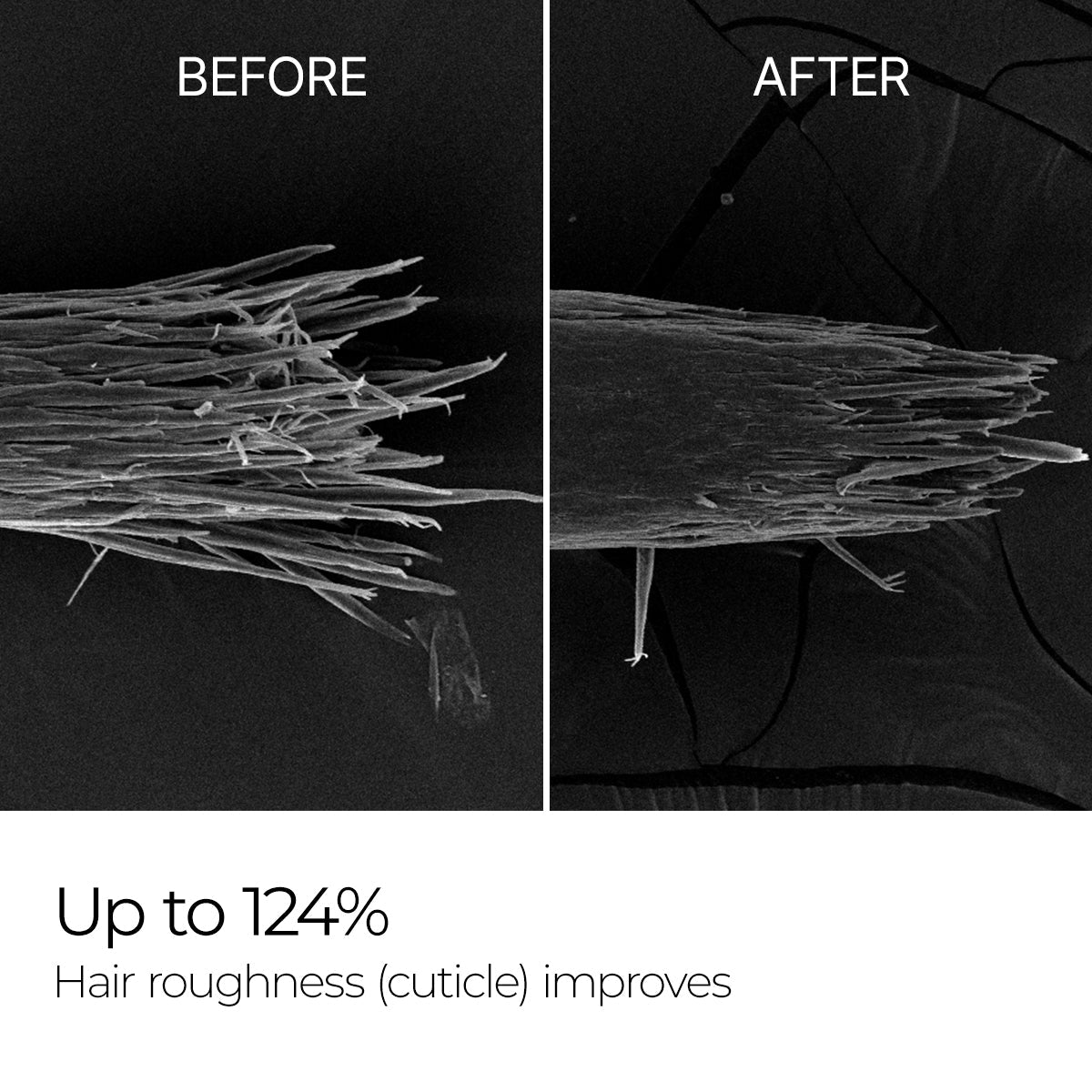 Bondex Bonding Hair Restoration Line - Dr.Melaxin.us