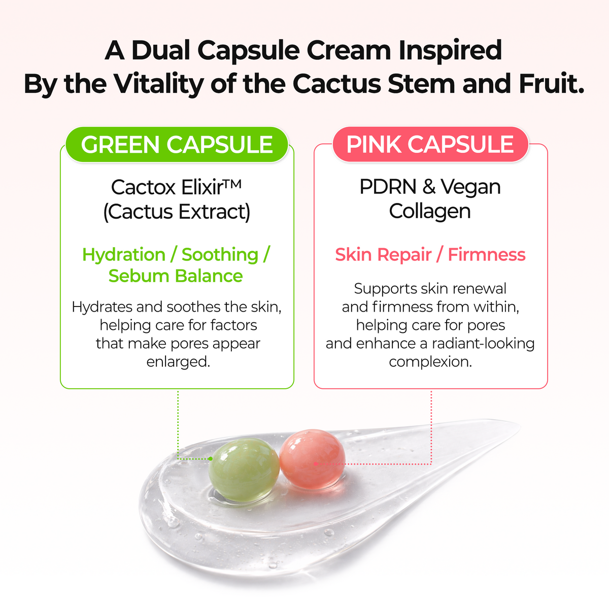 Cactox Pore Dual Capsule Cream - Dr.Melaxin.us