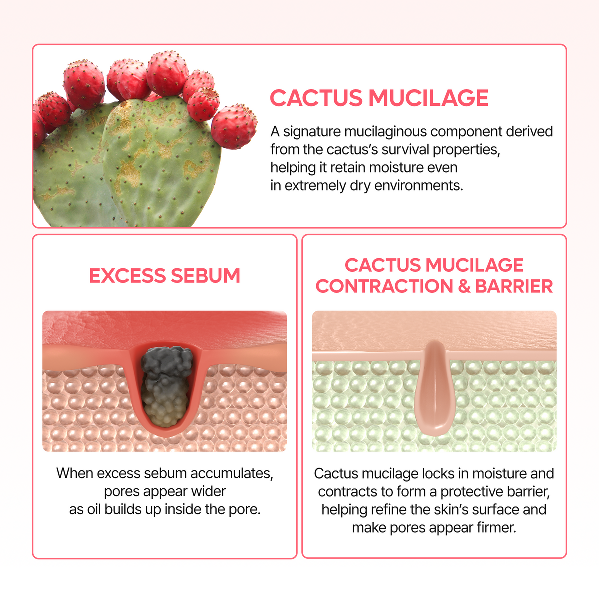Cactox Pore Dual Capsule Cream - Dr.Melaxin.us