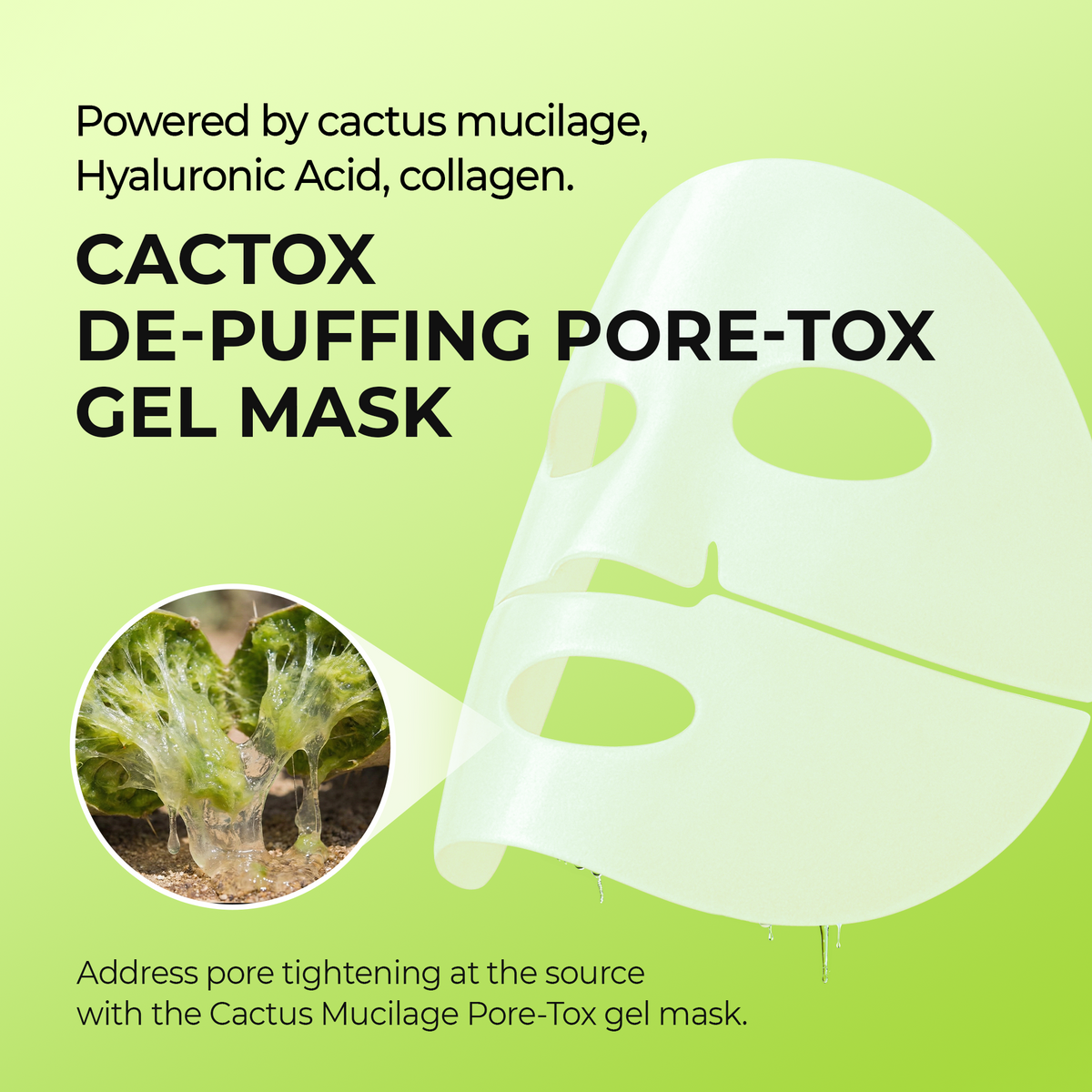 Cactox Hydro Pore Care Set - Dr.Melaxin.us