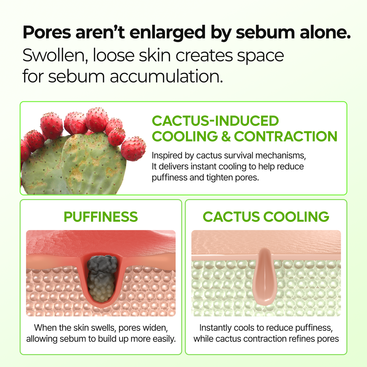 Cactox & Collagen Multi Pore Firming Balm Duo - Dr.Melaxin.us