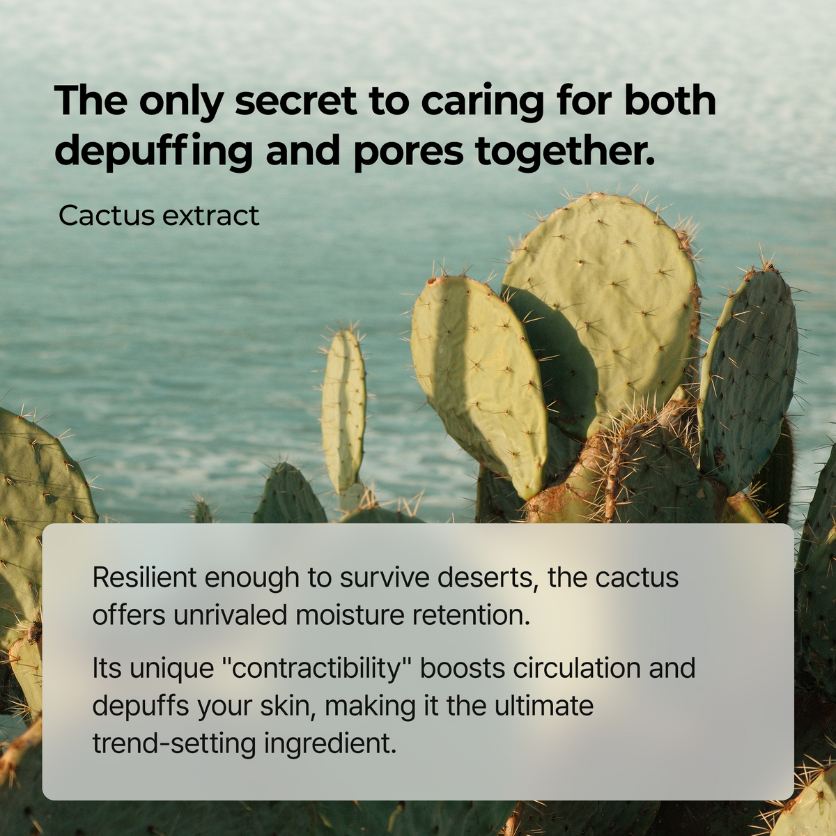 Peel Shot Exfoliating Cactox Serum - Dr.Melaxin.us